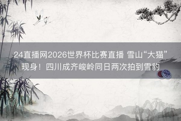 24直播网2026世界杯比赛直播 雪山“大猫”现身！四川成齐峻岭同日两次拍到雪豹